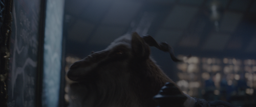cap 42.png
