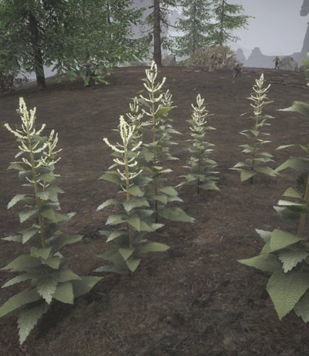 Screenshot 2025 03 07 214856.png