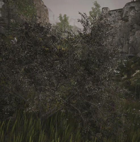 Screenshot 2025 03 07 212134.png