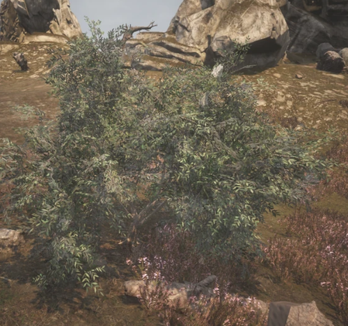 Screenshot 2025 03 07 213903.png