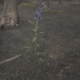 Screenshot 2025 03 07 215216.png