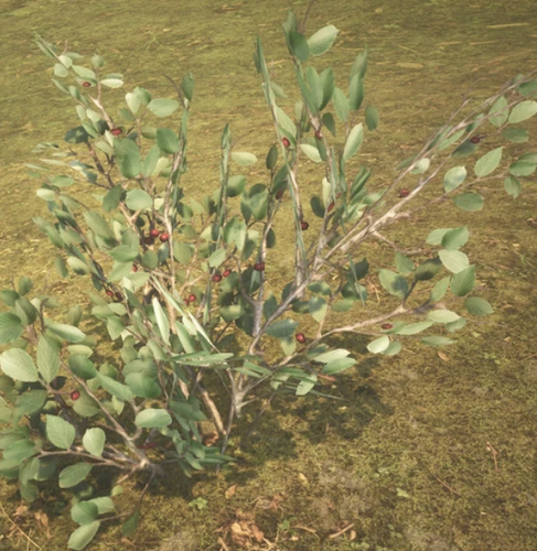 Screenshot 2025 03 07 214519.png