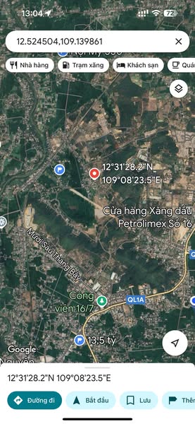 481669443 3541240846185600 8335019577530157055 n.jpg