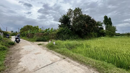 482032427 616941650974099 6897142196166037768 n.jpg