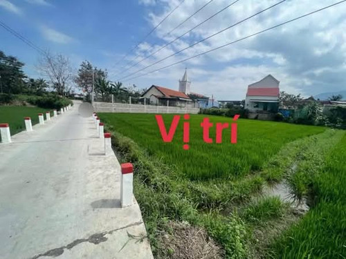 481668933 627188253539100 880338348205634083 n.jpg