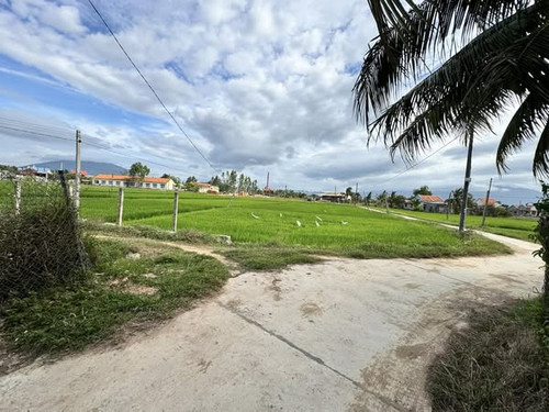 481977464 3541337739509244 3831727614368081110 n.jpg