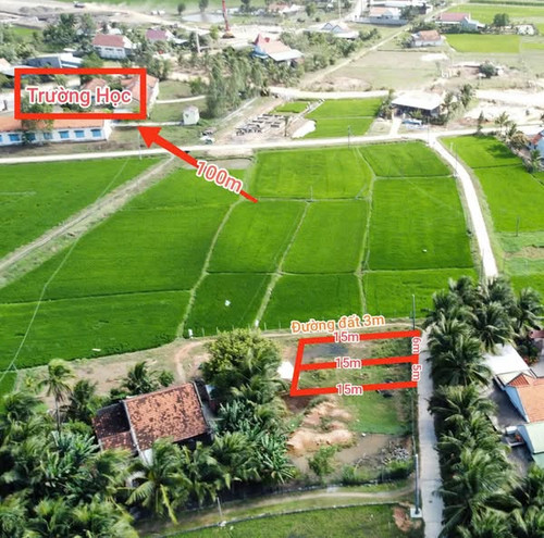 481770684 3541337679509250 8197758698639282243 n.jpg