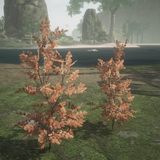 Screenshot 2025 03 07 220037.png