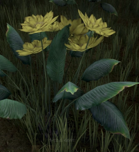 Screenshot 2025 03 07 221007.png