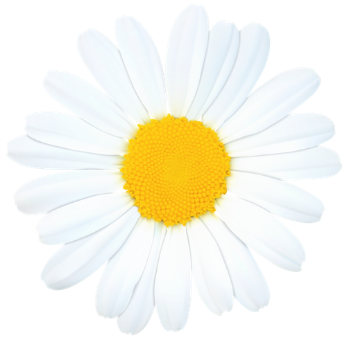 hotpng.com (18).png
