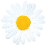hotpng.com (18)