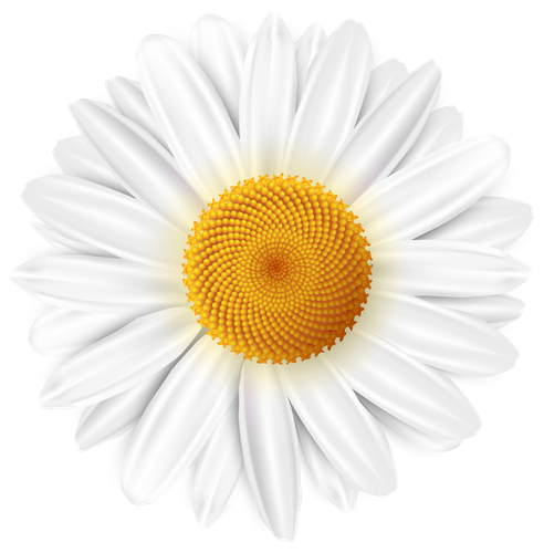 hotpng.com (30).png