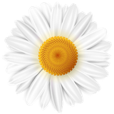 hotpng.com (30)