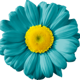 hotpng.com (21)