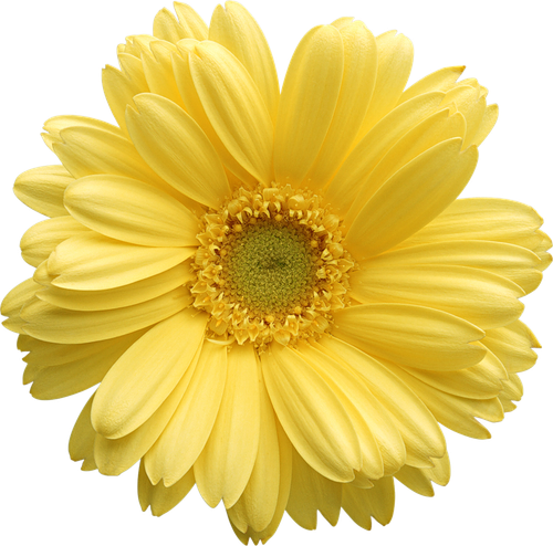 hotpng.com (32).png