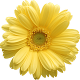 hotpng.com (32)