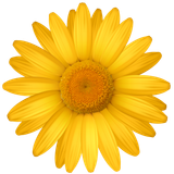hotpng.com (31)