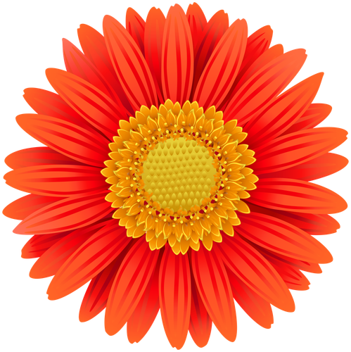 hotpng.com (17).png