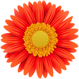 hotpng.com (17)