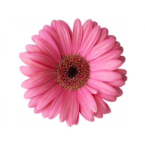 hotpng.com (38).png