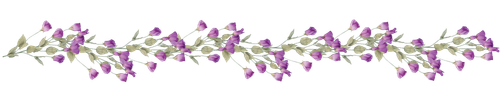 pngwing.com (75)1.png