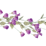 pngwing.com (75)1