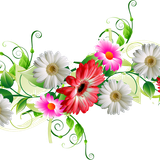 pngwing.com (76)1