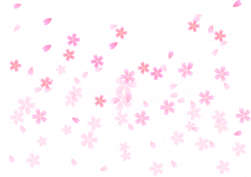 pngwing.com (74).png