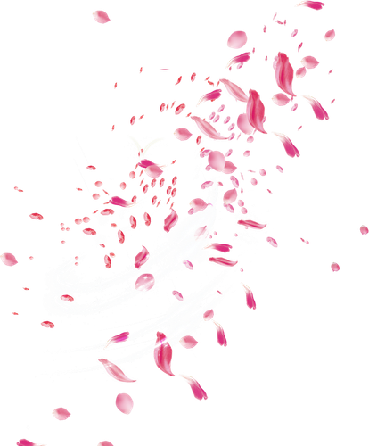 pngwing.com (77)1.png