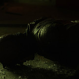 Marvels.Daredevil.S02E02.Dogs.to.a.Gunfight.1080p.DSNP.WEB DL.CZ EN. DD+5.1.x265.HEVC My.mkv snapsho