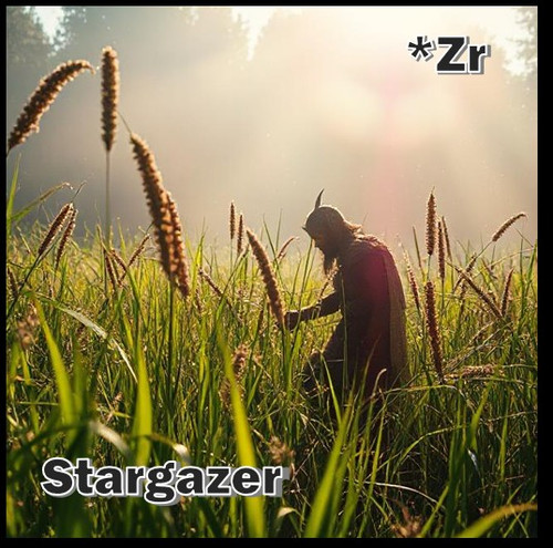 Stargazer22.jpg