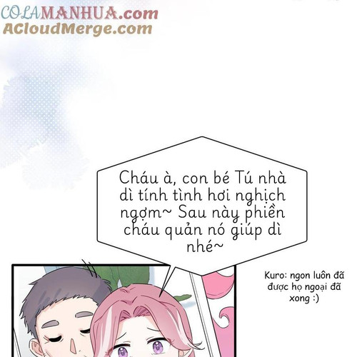 40.jpg