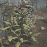 Screenshot 2025 03 07 201233.png