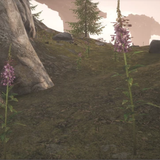 Screenshot 2025 03 07 200306.png