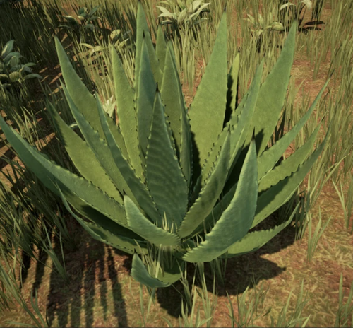 aloe.png