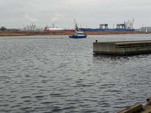 IMG 2025 03 03 11 49 31 626