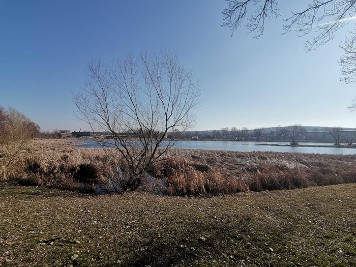 Kragujevac: Vremenska prognoza za predstojeći vikend (od 7. do 9. marta)