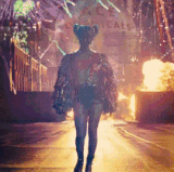 33508450.gif