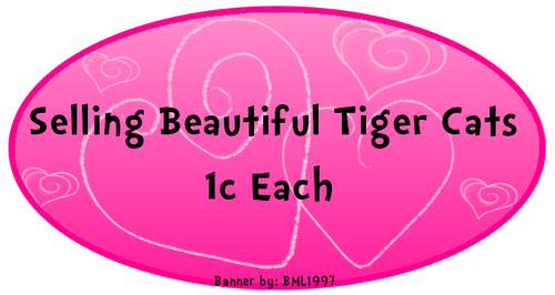 1c tiger cats.png