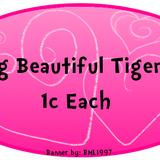 1c tiger cats