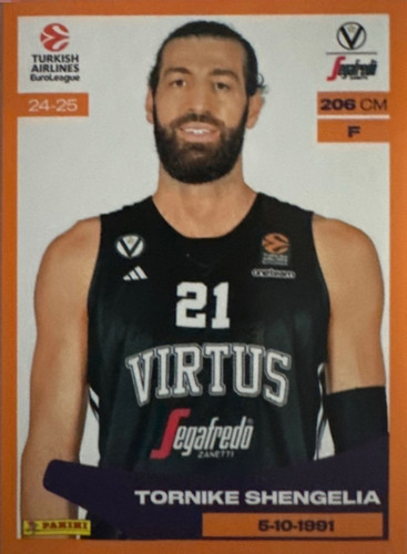 337.jpg