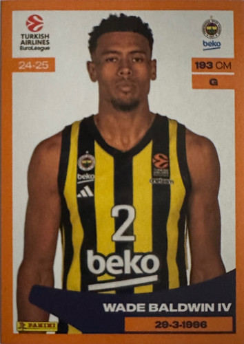 203.jpg