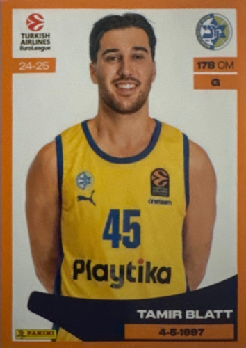 238.jpg