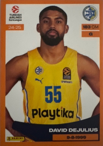 239.jpg