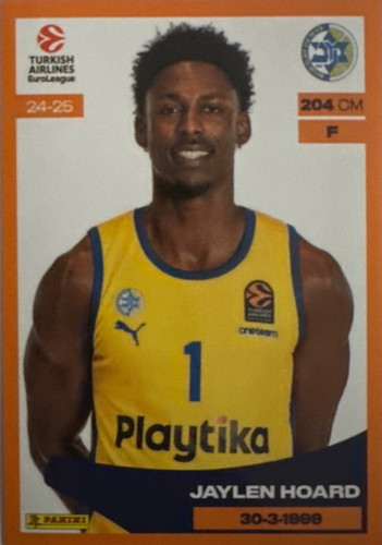 240.jpg