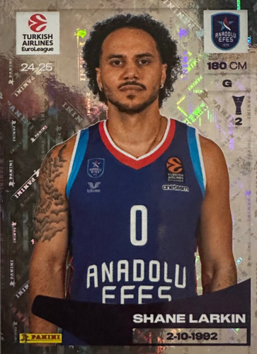 91.jpg