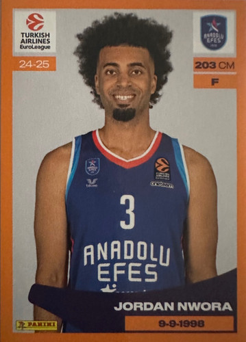 96.jpg