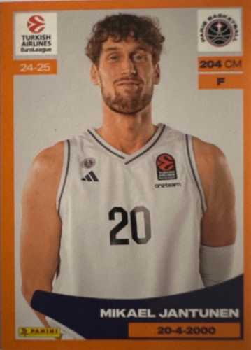 290.jpg