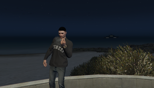 Screenshot 11.png