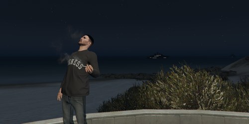 Screenshot 12.png